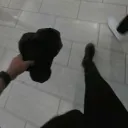 ice.y_