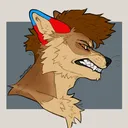 solomun_coyote