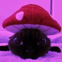sleepyvernie