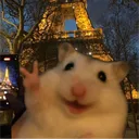 pandymae