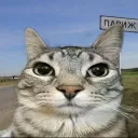 cherkasshh avatar