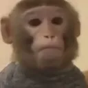 renowcomedy