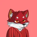 no_yns
