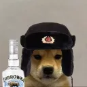 bludogcam