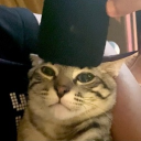 avatar Jomu