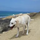 ctrlbrk