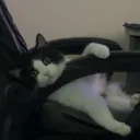 furalix