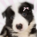 avatar 𑣲┆aly ! ˚.⋆ֹ