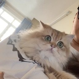 _________