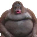 sea.monke