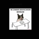 feareso