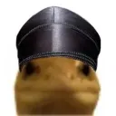 fritioy