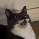notrenfm