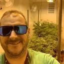 gorilladabs5643