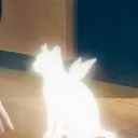 nuimoki