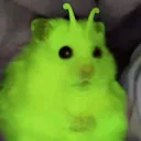 soupncalamari