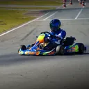 trice06