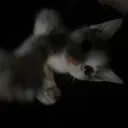 w0ri