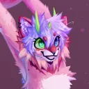 stupid.sandcat