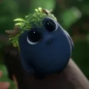 kingjuds
