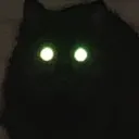 .linxzy