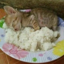 avatar HIGH SCHOOL?SORRY I DNT DO DRUGS