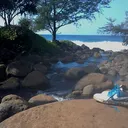 napalighost