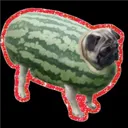 wavemelon