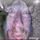 pigeonyurr