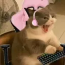 chelsmeh