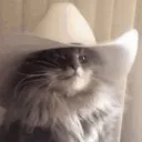ateasebrad