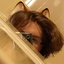 dailydyster