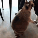 avatar ToxicWithTourretts