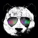 panda_14525