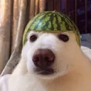 kacperek9