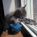 sniperkitten
