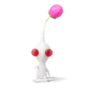 mrballsack