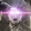 wileybot