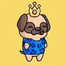 thisispug