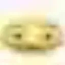 salti.cus