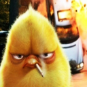 burd
