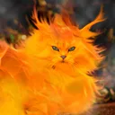 _f1recat