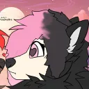 shadow_the_puppy_fox