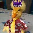 realtimechicken