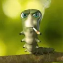 potkann