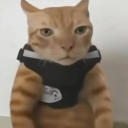 avatar ⋆｡°✩ Catsonaut ✩°｡⋆