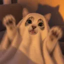 fii_