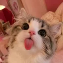 fii_