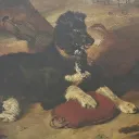thegoldenretriever19