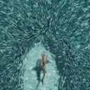 snellebaasm